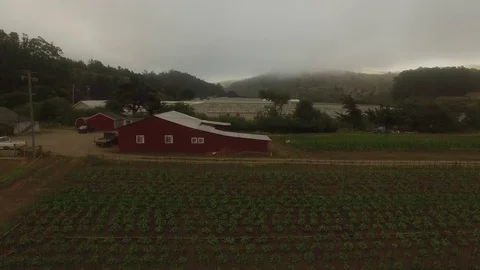 Farm Barn &amp; Crop Field Rows under Fog - Aerial Drone Stock Footage 71192247