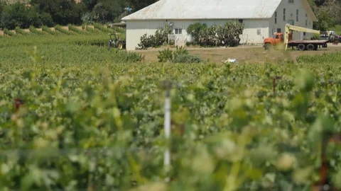 Farm barn warehouse with tractor. Surrounded by green fields A Stock Footage 111578154