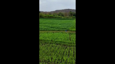 A Farm Between the Mountains Stock Footage 302989197