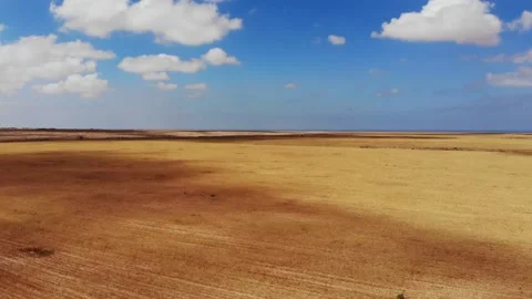 Farm with blue sky Stock Footage