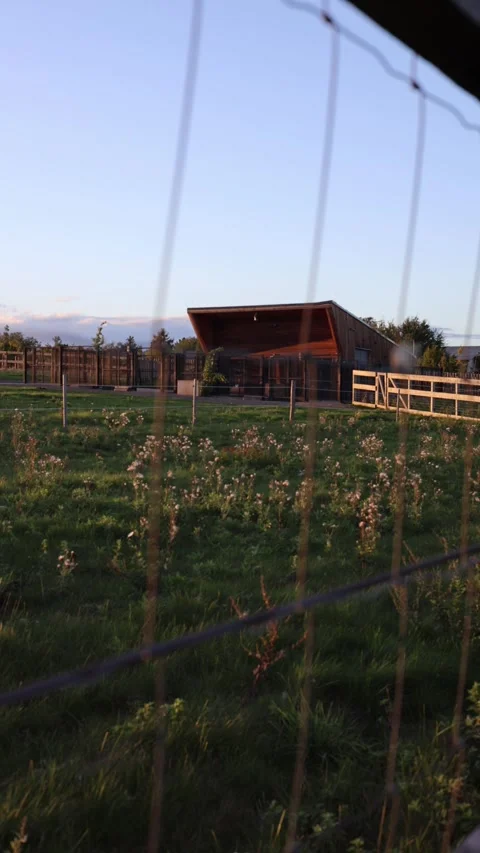 Farm building on field vertical video Stock Footage 286996319