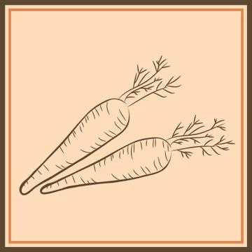 Carrot Sketch Stock Illustrations – 13,501 Carrot Sketch Stock  Illustrations, Vectors & Clipart - Dreamstime