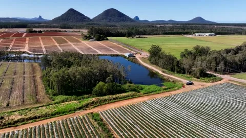 Farm Central Queensland Stock Footage 321048135