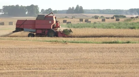 Farm combine work in cereal field harvest time countryside. 4K Stock Footage 61948879