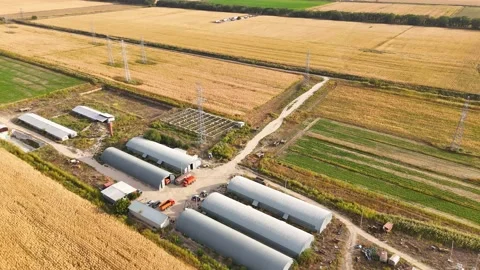 Farm Complex amid Corn Fields and Green Agricultural Plots Stock Footage 346972612
