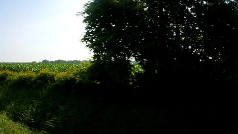 Farm corn tracking2 Video stock 91300968