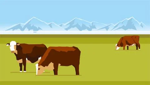 Farm cows Stock Illustration