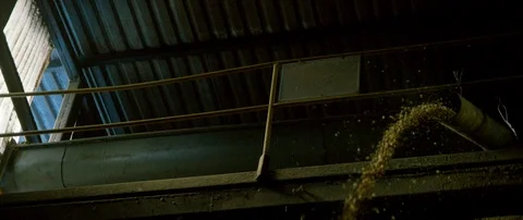 Farm crop falling down into storage silo barn warehouse. Tube directing stream Stock Footage 111673429