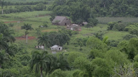 Farm in Cuba Vídeo Stock 42936068