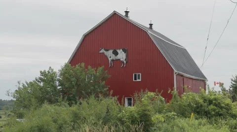 FARM DAIRY COMPILATION Stock Footage 36541308