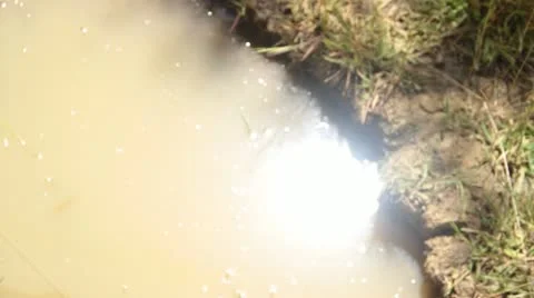 Farm dam Stock Footage 22029223