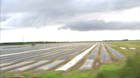 Farm driving by 01 Stock Footage 286699