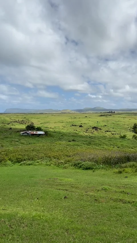 Farm in Easter Island Vídeo Stock 342838730