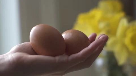 Farm eggs 02 Stock Footage 127137328