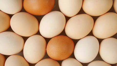 Farm eggs on a plate. Stock Footage 328441136