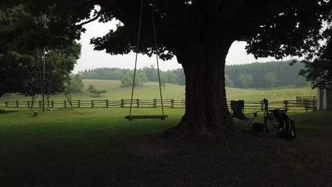 At the farm, an empty swing hangs from a tree, moving gently in the breeze Video stock 347653045