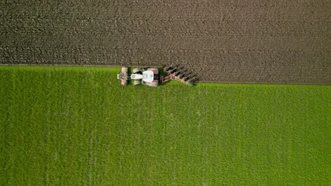 A farm equipment cutting the fields during spring time in the Netherlands. Stock Footage 282912508