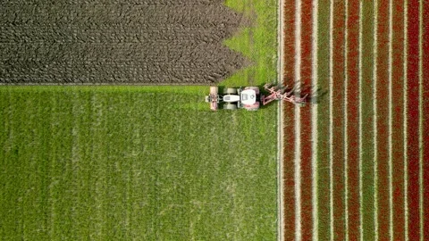 A farm equipment cutting the fields in the Netherlands countryside. Stock Footage 301724763