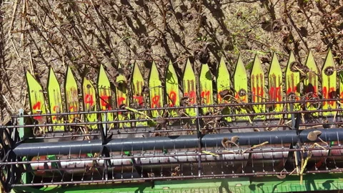 Farm equipment working on a field during the harvesting season with yellow and Stock Footage 345403709