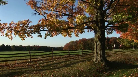 A farm in the Fall Vídeos de archivo 72572164