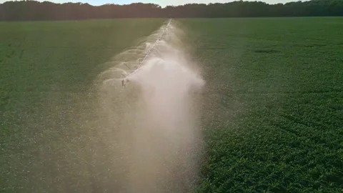 Farm, farming. Irrigation system in function watering agricultural plants 스톡 동영상 305299112
