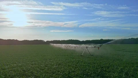 Farm, farming. Irrigation system in function watering agricultural plants 스톡 동영상 309276294