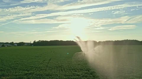 Farm, farming. Irrigation system in function watering agricultural plants 스톡 동영상 314409505