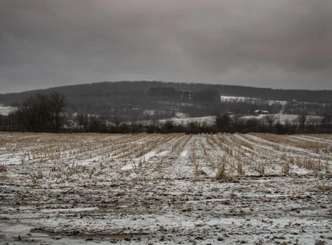 Farm feild in winter Foto stock