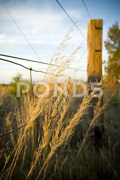 Farm fence Stock Photos