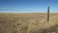 Farm fence in prairies. Alberta, Canada. HD Footage