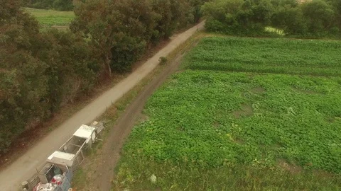 Farm Field Crop Rows &amp; Dirt Road - Aerial Drone Stock Footage 71136814