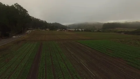Farm Field Crop Rows &amp; Road under Fog - Aerial Drone Stock Footage 71192912