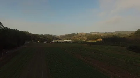 Farm Field Crop Rows, Road &amp; Greenhouses in the Background - Aerial Drone Stock Footage 71248636