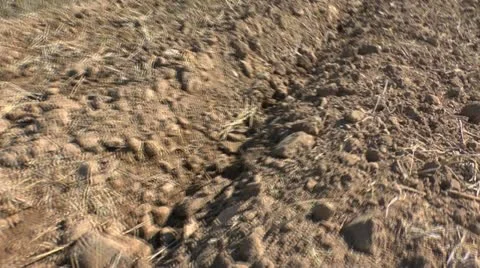 Farm Field Dirt Stock Footage