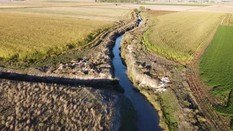 Farm Field Ditch (Sunset) 库存影片 282304698
