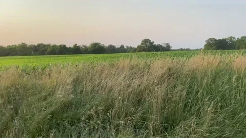 Farm Field - Driving - Smooth Stock Footage 156757003