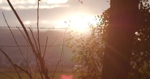 Farm field during sunset Stock-Footage 127463615