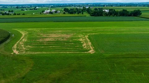 Farm Field Features a Pattern Created by Plowed Earth in Rural Landscape Du.. Stock Photos
