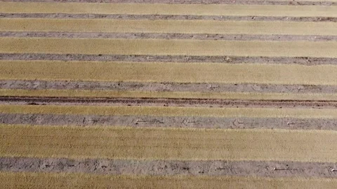 Farm Field Stock Footage 148894472