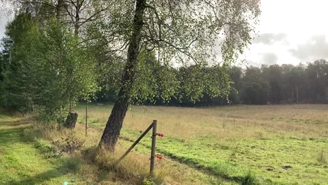 Farm field Stock Footage 158553421