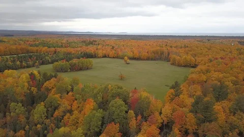 Farm field in lush fall forest Stock Footage 100126528