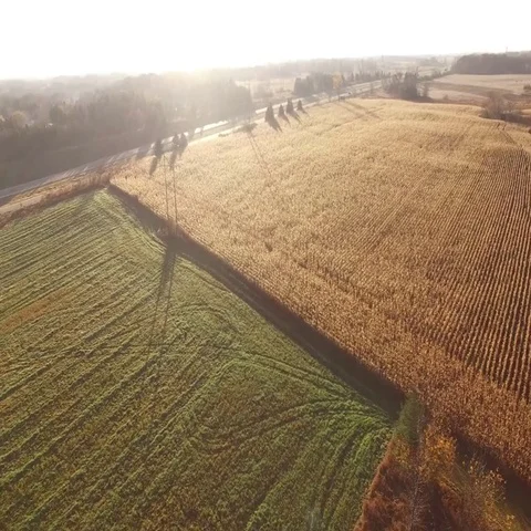 Farm field Near Interstate Stock Footage 69499206