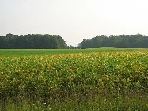 Farm Field Stock Photos