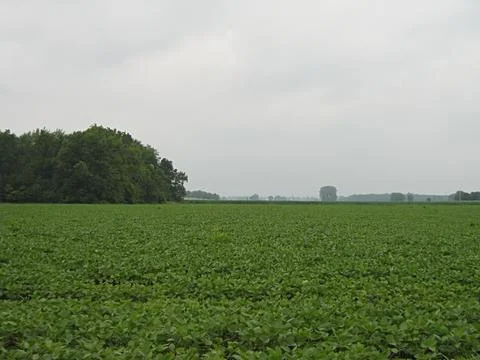 Farm Field Stock Photos