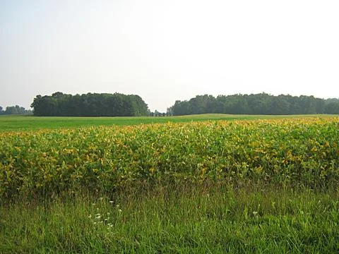 Farm Field Stock Photos
