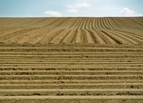 Farm field Stock Photos