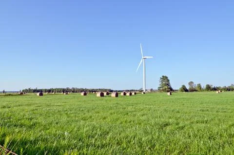 Farm field Stock Photos