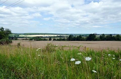Farm field Stock Photos