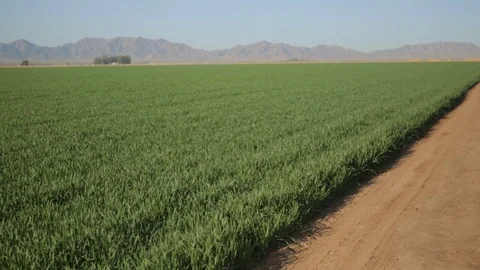 Farm Field with Pipe Stock Footage 95255906