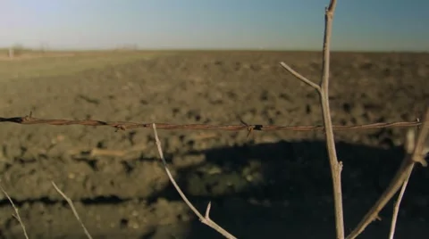 Farm Field Rack Focus 스톡 동영상 53209475